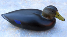 Load image into Gallery viewer, Commemorative Black Duck Miniature