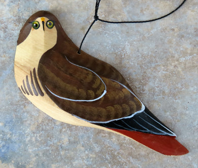 Red-tailed Hawk 2022 (Out of production but still available)