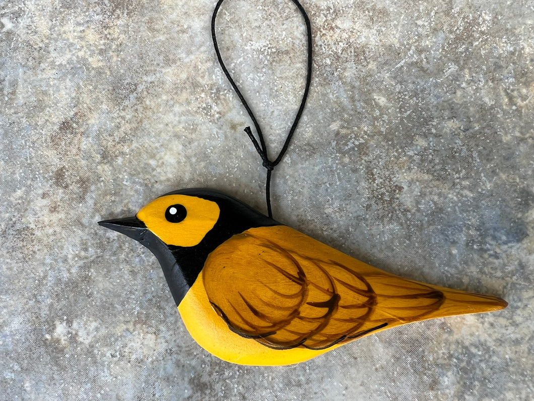 Hooded Warbler 2025