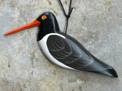 American Oystercatcher 2019 (Out of production but still available)
