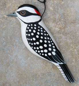Downy Woodpecker 2006