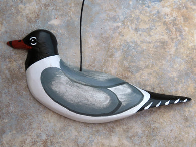 Laughing Gull 2020 (Out of production but still available)