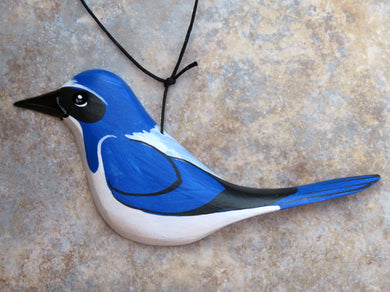Scrub Jay 2020 (Out of production but still available)
