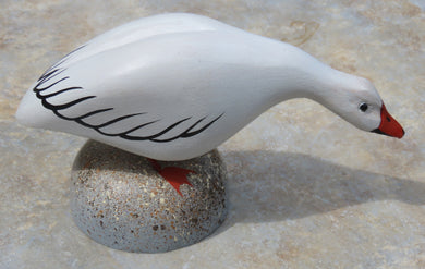 Feeding Snow Goose Miniature