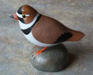 Semipalmated Plover Miniature